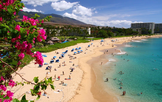VivaBox-Hawaii-Housing-crisis
